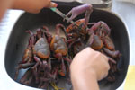 2013-06-08_11-49-10_DSC_8561.jpg
