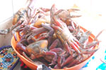 2013-06-08_12-08-52_DSC_8572.jpg