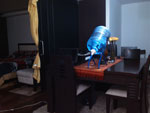 2013-06-08_21-02-20_2013-06-08-21.02.20.jpg