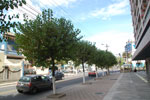 2013-06-25_14-49-50_DSC_8955.jpg