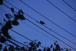 2013-06-25_14-49-55_DSC_8956.jpg