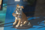 2013-06-25_15-31-39_DSC_8971.jpg
