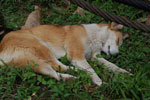 2013-07-20_13-28-44_DSC_9376.jpg