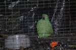 2013-07-20_18-22-24_DSC_9825.jpg