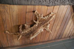 2013-07-21_09-38-53_DSC_9877.jpg