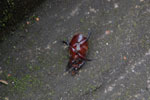 2013-07-21_12-05-16_DSC_9950.jpg