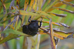 2013-07-21_12-10-16_DSC_9967.jpg
