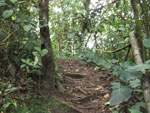 2013-07-21_12-55-44_DSCF8313.jpg