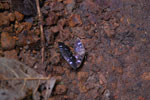 2013-07-21_13-13-34_DSC_0024.jpg