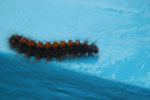 2013-07-21_14-18-11_DSC_0091.jpg