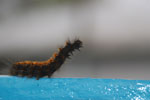 2013-07-21_14-18-33_DSC_0096.jpg