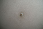 2013-07-27_14-46-12_DSC_0219.jpg
