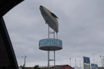 2013-08-04_12-30-40_DSC_0632.jpg