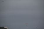 2013-08-06_17-31-30_DSC_1194.jpg
