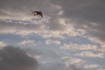 2013-08-17_17-40-39_DSC_2033.jpg