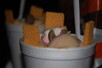 2013-08-17_19-05-08_DSC_2194.jpg