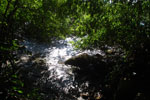 2013-08-19_16-24-48_DSC_2311.jpg