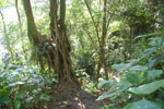 2013-08-19_16-26-51_DSC_2316.jpg
