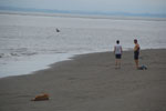 2013-08-21_12-42-19_DSC_2380.jpg