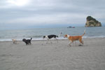 Photos