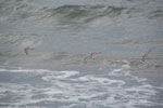 2013-08-21_15-16-56_DSC_2472.jpg