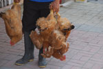 2013-08-24_12-29-51_DSC_2660.jpg