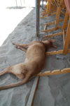 2013-08-24_13-29-49_DSC_2756.jpg