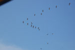 2013-08-24_13-49-34_DSC_2762.jpg