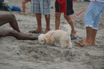2013-08-25_16-28-38_DSC_2928.jpg