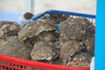 2013-08-25_16-29-17_DSC_2931.jpg