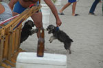 2013-08-25_16-43-14_DSC_2943.jpg