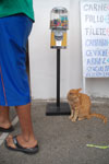 2013-08-25_17-07-49_DSC_2986.jpg