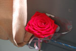 2013-08-26_12-33-20_DSC_3016.jpg