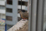 2013-09-01_14-32-12_DSC_3198.jpg