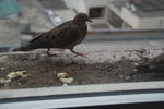 2013-09-01_15-59-06_DSC_3224.jpg