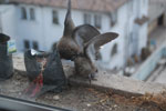 2013-09-01_16-01-36_DSC_3244.jpg