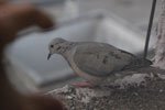 2013-09-01_17-02-54_DSC_3277.jpg