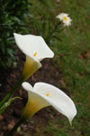 2013-09-20_11-00-42_DSC_3480.jpg