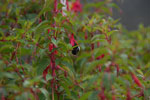 2013-09-20_11-39-43_DSC_3515.jpg