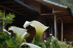 2013-09-20_11-42-07_DSC_3525.jpg