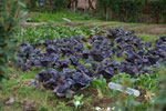 2013-09-20_13-32-23_DSC_3568.jpg