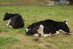 2013-09-20_13-36-30_DSC_3581.jpg