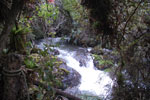 2013-09-20_13-45-27_DSC_3598.jpg