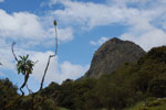 2013-09-20_14-00-50_DSC_3657.jpg