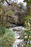 2013-09-20_14-02-33_DSC_3660.jpg
