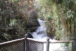2013-09-20_14-07-41_DSC_3682.jpg