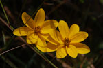 2013-09-20_14-10-57_DSC_3694.jpg