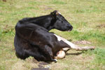 2013-09-20_14-21-04_DSC_3723.jpg
