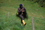 2013-09-20_14-25-34_DSC_3726.jpg