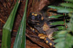 2013-09-23_09-51-04_DSC_3834.jpg